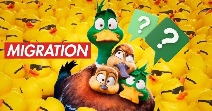 Which Migrant Character Are You?